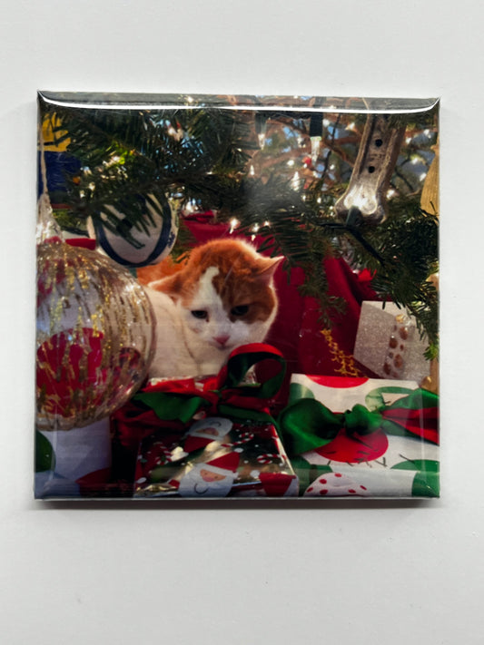 Pet Photo Magnets - Turn Your Pets into Fridge Stars!