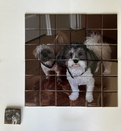 Photo Magnet Puzzle